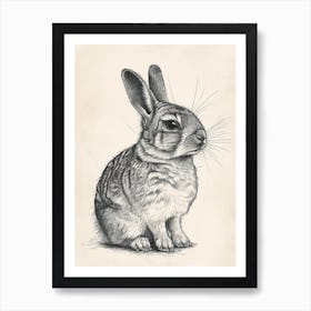 Chinchilla Blockprint Rabbit Illustration 8 Art Print