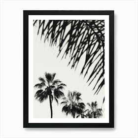 Palm Trees Black and White_2192479 Art Print