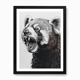 Red Panda Growling Ink Illustration 3 Art Print