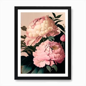 Festiva Maxima Peonies Pink 3 Vintage Sketch Art Print