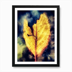 Decaying Fallen Leaf Art Print