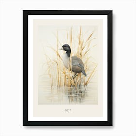 Vintage Bird Drawing Coot 4 Poster Art Print