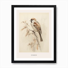 Vintage Bird Drawing Sparrow 2 Poster Art Print