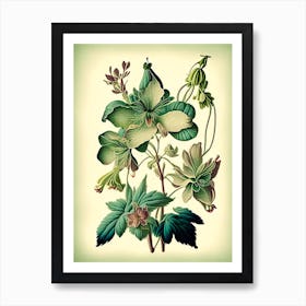 Columbine 2 Floral Botanical Vintage Poster Flower Art Print