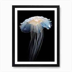 Turritopsis Dohrnii Importal Jellyfish Simple 1 Art Print