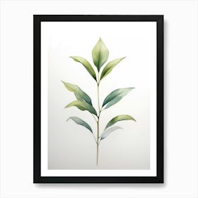 Green Tea Plant Art Print