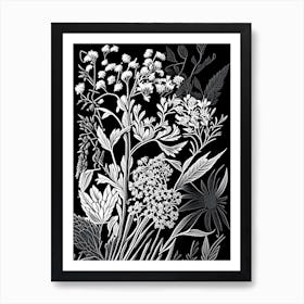 Wild Quinine Wildflower Linocut 1 Art Print