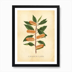 Hot Dog Botanical Art Print