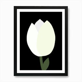 Tulip Black And White Art Print