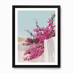 Bougainvillea Bush Art Print