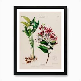 Lily Of The Valley 17 Art Print