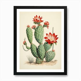 Vintage Cactus Illustration Bunny Ear Cactus 2 Art Print