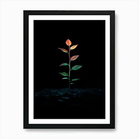 Tree In The Dark 12 Art Print