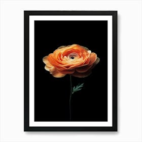 Orange Flower 5 Art Print