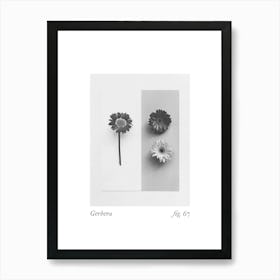 Gerbera Botanical Collage 1 Art Print