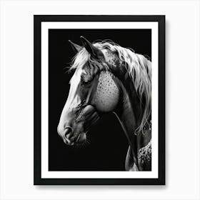 Horse Portrait 1 Art Print