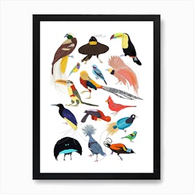 Birds Of Paradise Art Print