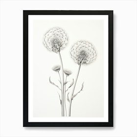 Floral Yellow Border of Plant Dandelions Graphic by colana
