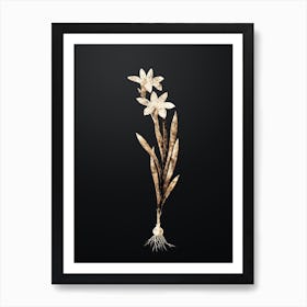 Gold Botanical Ixia Liliago on Wrought Iron Black n.0536 Art Print
