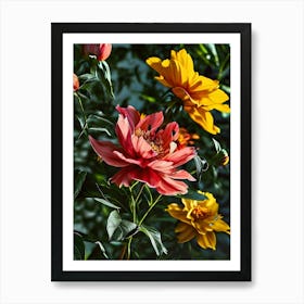 Peonies 20 Art Print