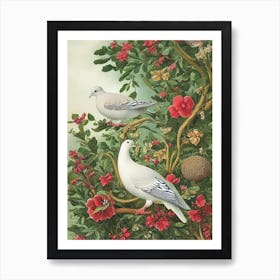 Dove Haeckel Style Vintage Illustration Bird Art Print