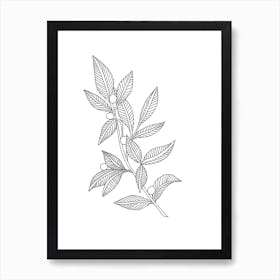 Drawing Of A Tree Branch Art Print