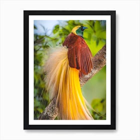 Bird Of Paradise Art Print