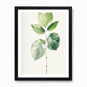 Viburnum Leaf Minimalist Watercolour 3 Art Print