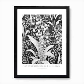 Lily Of The Valley B&W Vintage Botanical Poster Art Print