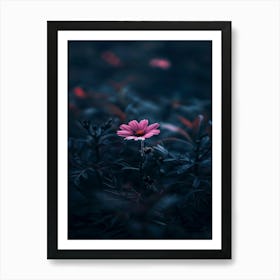 Dark Pink Flower 1 Art Print