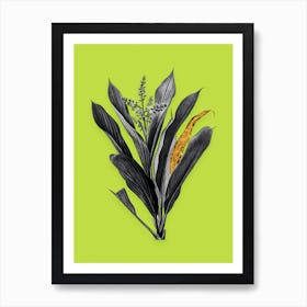 Vintage Cordyline Fruticosa Black and White Gold Leaf Floral Art on Chartreuse n.0816 Art Print