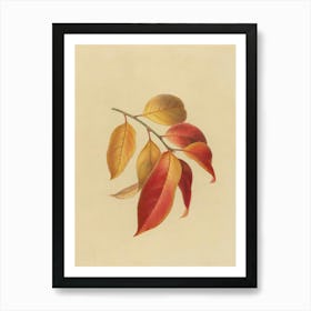 Autumn Leaves Art Print