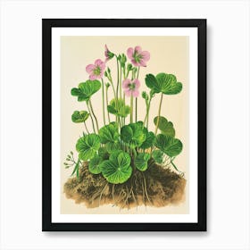 Vintage Illustration Mountain Spleenwort 3 Art Print