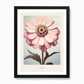 Floral Illustration Zinnia 1 Poster Art Print