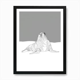 Walrus Poster