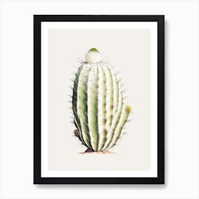 Acanthocalycium Cactus Marker Art 1 Art Print
