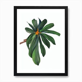 Candy Corn Plant (Manettia Inflata) Watercolor Art Print