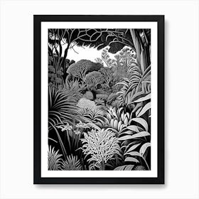 The Royal Botanic Garden, 1, Cranbourne, Australia Linocut Black And White Vintage Art Print