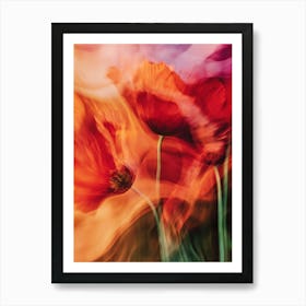 Poppies Art Print