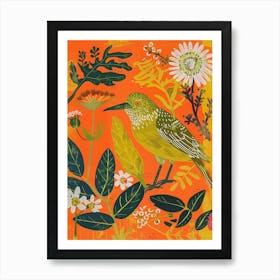 Spring Birds Kiwi 1 Art Print