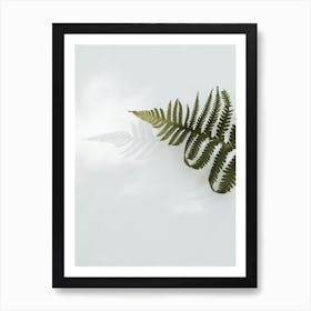 Fern Leaf Art Print