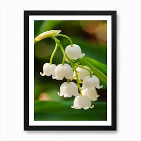 Lily Of The Valley Art 1 Art Print