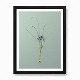 Vintage Grass Leaved Iris Botanical Art on Mint Green n.0474 Art Print
