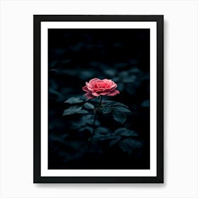 Dark Rose 20 Art Print