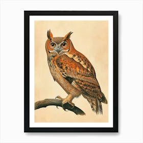 Brown Fish Owl Vintage Illustration 1 Art Print