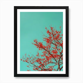 Red Tree Against Blue Sky 5 Art Print