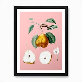 Vintage Pear Botanical on Soft Pink n.0808 Art Print