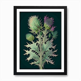 Milk Thistle Herb Vintage Botanical Affiche