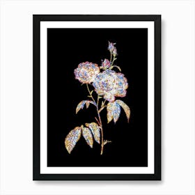 Stained Glass Purple Roses Mosaic Botanical Illustration on Black n.0015 Art Print