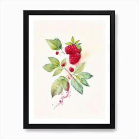 Red Raspberry Herb Minimalist Watercolour 3 Art Print